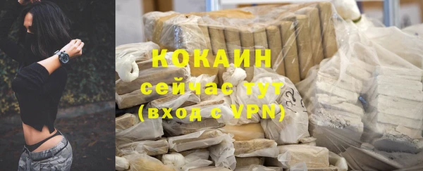 ПСИЛОЦИБИНОВЫЕ ГРИБЫ Сатка