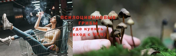 ГАЛЛЮЦИНОГЕННЫЕ ГРИБЫ Алзамай