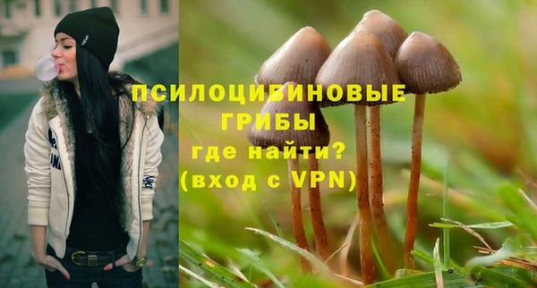 ПСИЛОЦИБИНОВЫЕ ГРИБЫ Сатка