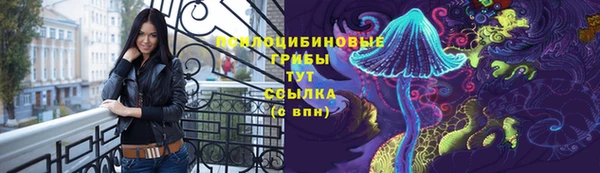 ГАЛЛЮЦИНОГЕННЫЕ ГРИБЫ Алзамай
