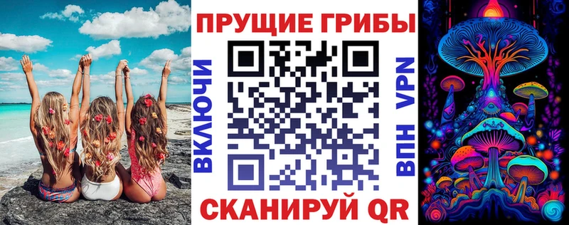 KRAKEN онион  Биробиджан  Псилоцибиновые грибы Cubensis 