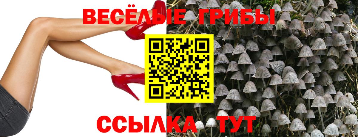 Галлюциногенные грибы Magic Shrooms Биробиджан